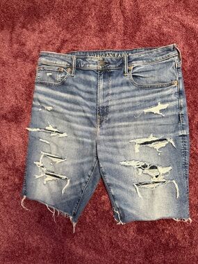 NEVER WORN | American Eagle Outfitters Light Blue Distressed Denim Shorts - FLEX